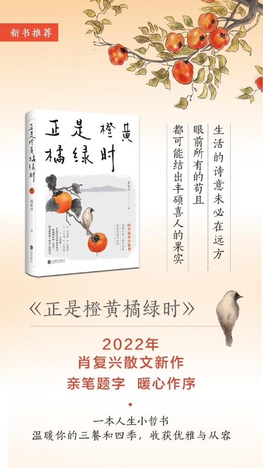 正是橙黄橘绿时 商品图2