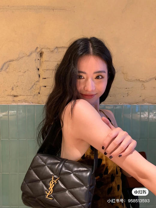 杨树林新款Le57腋下包 商品图3