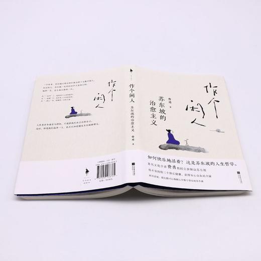 作个闲人(苏东坡的治愈主义) 商品图3