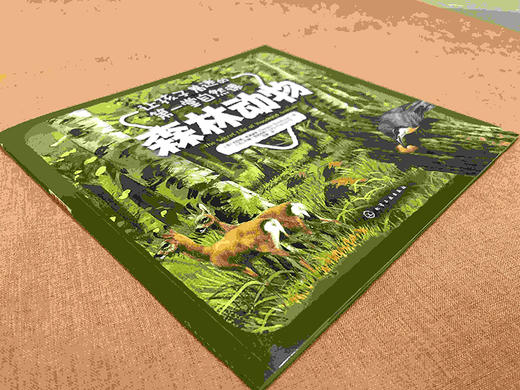 (仓发) 让孩子着迷的第一堂自然课——森林动物/化学工业出版社有限公司/[英]伯纳德·斯通豪斯（Bernard,Stonehouse）/9787122335258 商品图2