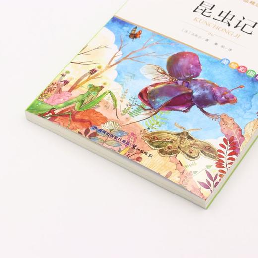 昆虫记(美绘彩图版名师教你读经典)/小学语文课外阅读经典丛书 商品图2