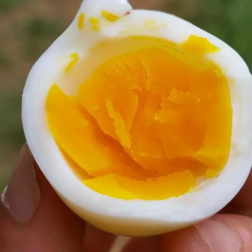 顺丰快递【竹林大散养刨刨鸡蛋】蓄天地之灵气 承天然之滋养 沉淀时间的味道 蛋黄细腻 蛋清Q弹 30枚 商品图0