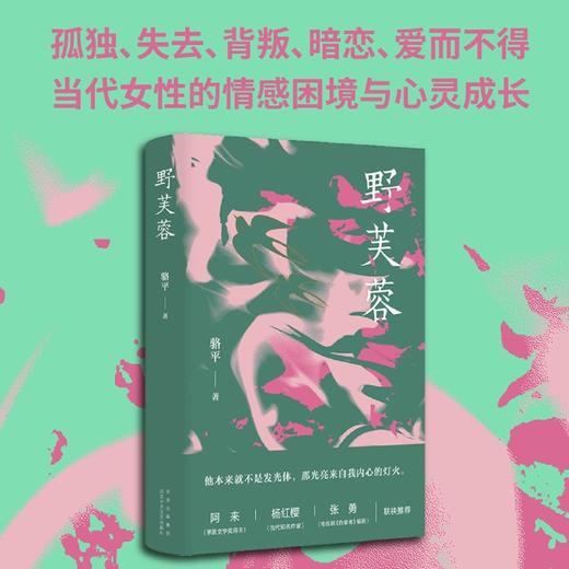 野芙蓉 商品图1
