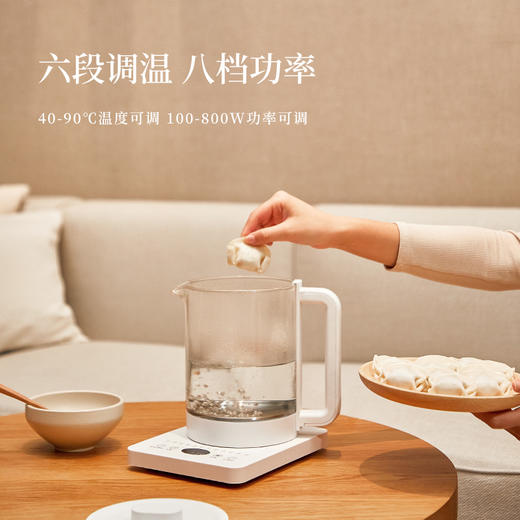 【清心湖甄选】欧莱克养生壶1.5L*1个（316底盘或陶瓷底盘+304滤网，底盘随机发货不接受指定） 商品图2