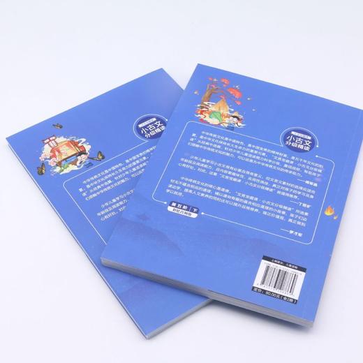 小古文分级精读(第5阶上下彩绘音频版)/文言宝藏课 商品图3
