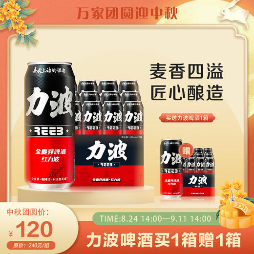 力波啤酒（听装） 一箱12瓶 特价秒杀，买一箱再送一箱！ 商品图0