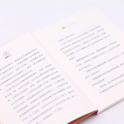 应有尽有先生/诺奖童书 商品图4