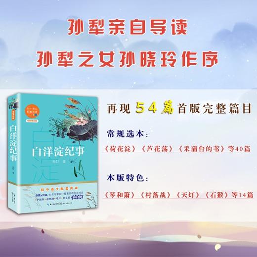 白洋淀纪事(全新修订版)/初中语文配套阅读 商品图2