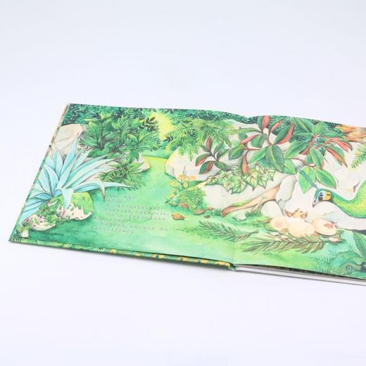 绿孔雀(我的家在哪里)(精) 商品图3