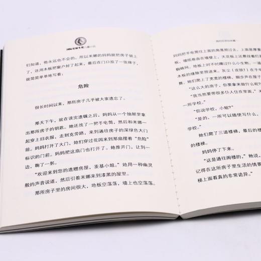 我的名字叫米娜/国际安徒生奖儿童小说 商品图4