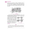 医学微生物学与寄生虫学 第2版 商品缩略图3