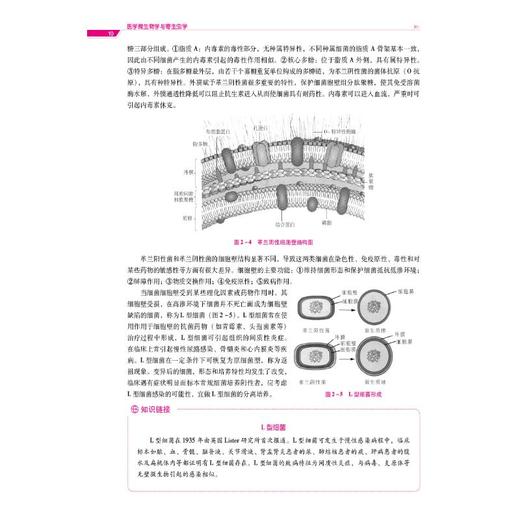 医学微生物学与寄生虫学 第2版 商品图3