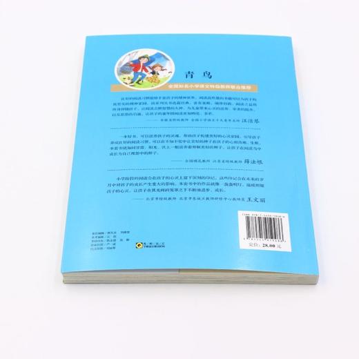 青鸟(美绘彩图版名师教你读经典)/小学语文课外阅读经典丛书 商品图3