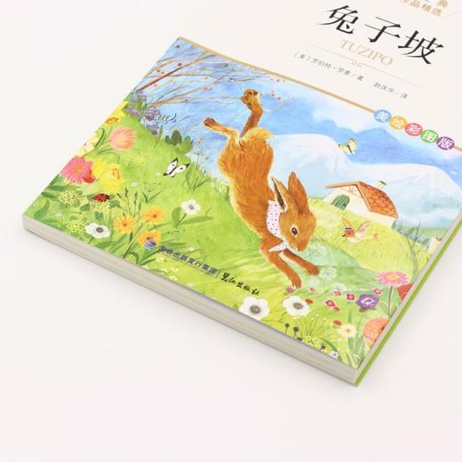 兔子坡(美绘彩图版名师教你读经典)/小学语文课外阅读经典丛书 商品图2