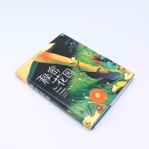 秘密花园(精)/作家榜 商品图1