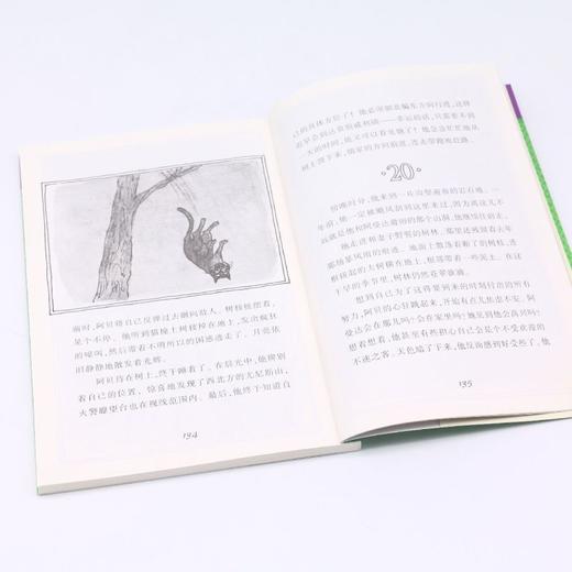 老鼠阿贝漂流记/麦克米伦世纪大奖小说典藏本 商品图4