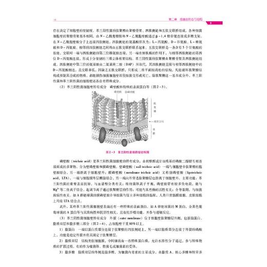 医学微生物学与寄生虫学 第2版 商品图2