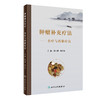 肿瘤补充疗法——食疗与药膳疗法 2022年8月参考书 9787117333450 商品缩略图0