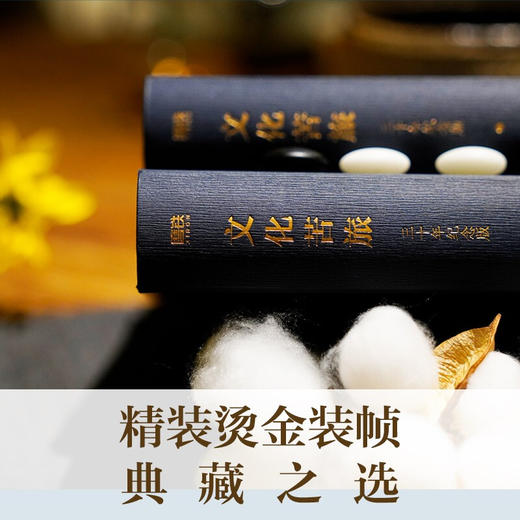 文化苦旅三十年纪念版 余秋雨 著 文学 商品图3