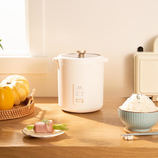 日本BRUNO迷你复古电饭煲小型2人宿舍小饭煲多功能家用1人电饭锅 商品图0