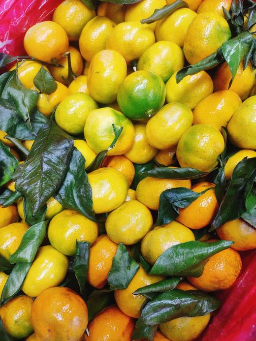 黄金蜜橘4斤（拼团） 商品图0