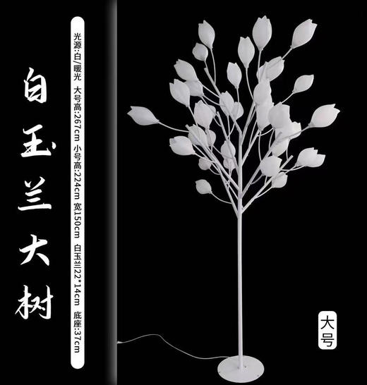 白玉兰大树（运费自理） 商品图1