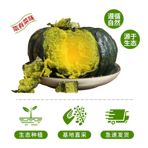 密农人家  精品正宗贝贝南瓜礼盒  进口种源送礼优选5斤 商品图2