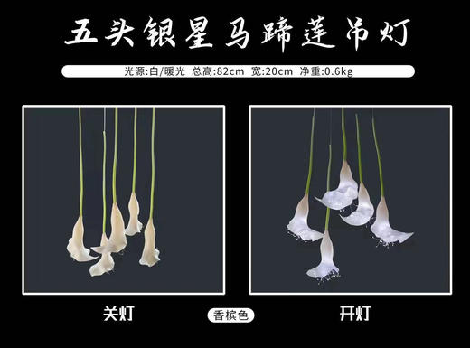 五头银星马蹄莲吊灯（运费自理） 商品图3