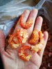 大连特产 当地纯淡干大海米，淡盐虾米，300g/袋，可以用来当零食凉拌菜，海鲜干货，全国包邮（偏远地区除外） 商品缩略图4