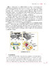 人体形态学 第5版 十四五规划教材 全国高等学校教材 供本科护理学类专业用 周瑞祥 张雅芳 编 人民卫生出版社9787117332859 商品缩略图4