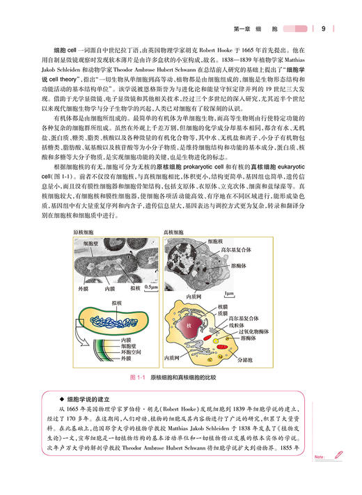 人体形态学 第5版 十四五规划教材 全国高等学校教材 供本科护理学类专业用 周瑞祥 张雅芳 编 人民卫生出版社9787117332859 商品图4