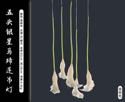 五头银星马蹄莲吊灯（运费自理） 商品图2