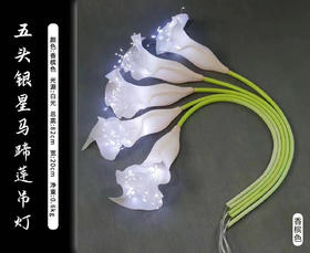 五头银星马蹄莲吊灯（运费自理）
