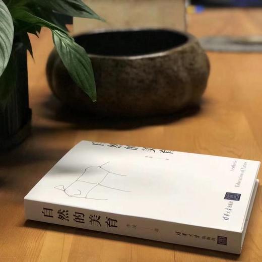 (仓发) 自然的美育 儿童自然美育 成长快乐法则 塑造孩子的优势品格/清华大学出版社/李凌/9787302580454 商品图5