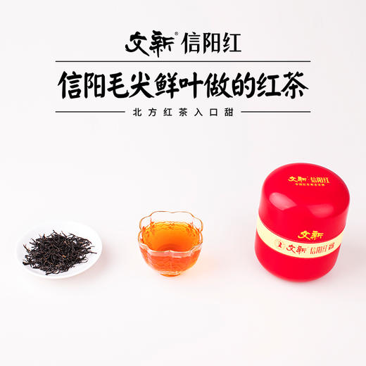 文新信阳红茶75g红茶椭圆罐 商品图3