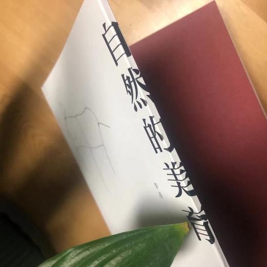 (仓发) 自然的美育 儿童自然美育 成长快乐法则 塑造孩子的优势品格/清华大学出版社/李凌/9787302580454 商品图3