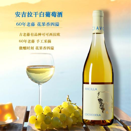 【海鲜必备】安吉拉干白葡萄酒2017|贵族百年酒庄60年老藤 商品图0