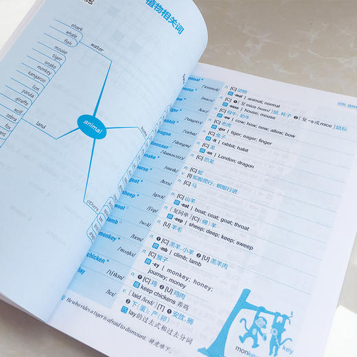 (仓发) 初中英语词汇速记宝典/复旦大学出版社/李法敏/9787309149784 商品图5