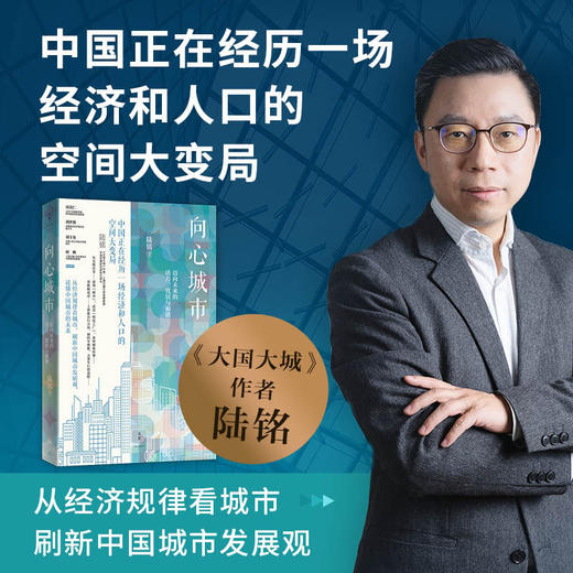 向心城市 迈向未来的活力 宜居与和谐 陆铭 著 中国经济中国经济史 商品图0