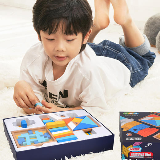 米米智玩     MIMI-0225    玲珑益智五合一 商品图2