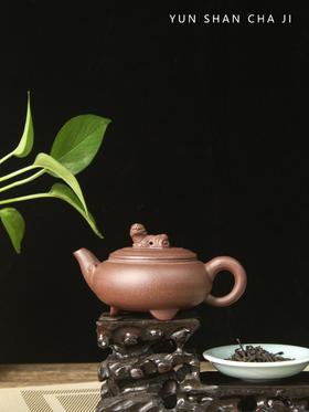 卧虎藏龙宜兴紫砂壶纯手工150毫升