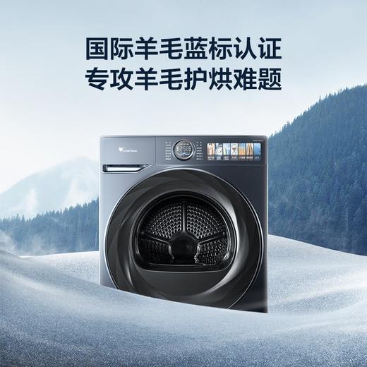 小天鹅(LittleSwan)本色系列 洗烘套装 蓝氧特渍净 专业羊毛烘 智能家电 S9+H9（蓝氧）TG100MS9ILZ+TH100-H9WZ 商品图5