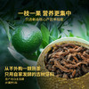 【送礼佳品】澜沧古茶茶妈妈2022年小青柑陈皮普洱熟茶16颗保温杯礼盒（保温杯没电，介意慎拍） 商品缩略图4