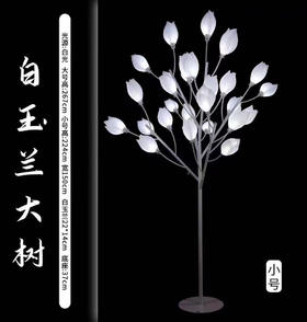 白玉兰大树（运费自理）