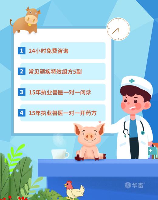 资深执证兽医 问诊开药5副权益卡【下单备注手机号专人联系问诊开药】 商品图0