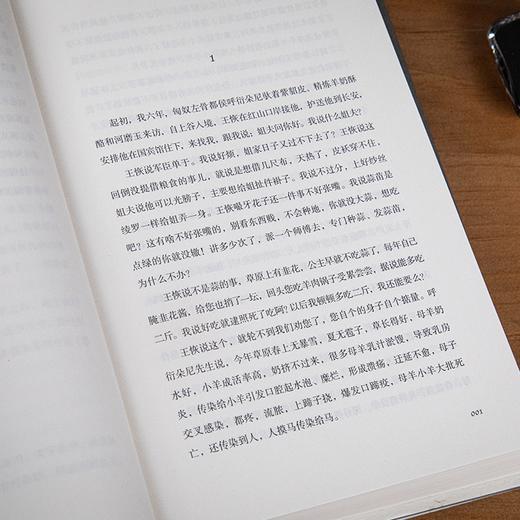 【王朔沉潜15年的史诗巨作】《起初·纪年》，重磅新书，一上线就爆卖20万册！ 商品图6