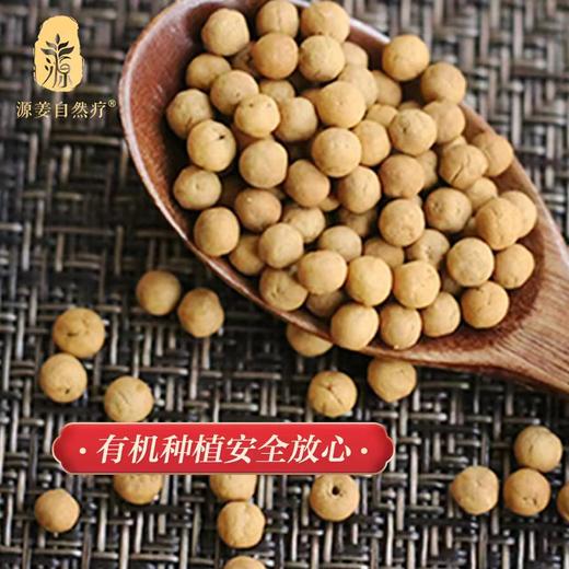 (A3-006)有机源姜丸 商品图2