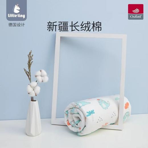 【一款可以自动调温的抱被】littletiny恒温婴儿抱被春夏纯棉产房包被新生儿防惊跳襁褓初生 商品图3