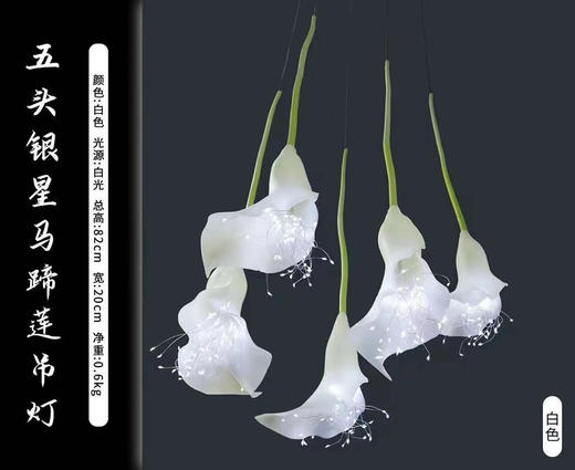 五头银星马蹄莲吊灯（运费自理） 商品图4