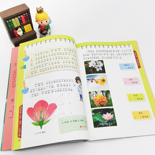 创意玩转三点半（语数英科4册） 商品图13